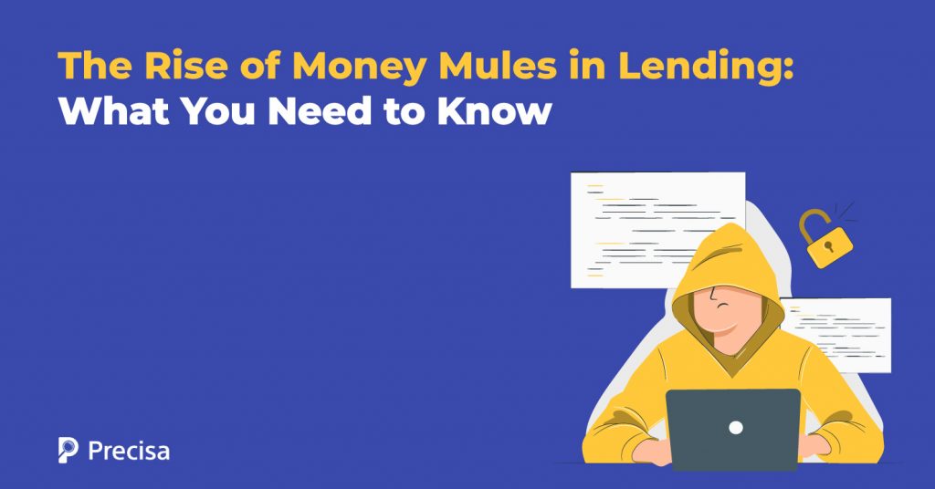 The Rise of Money Mules in Lending What You Need to Know